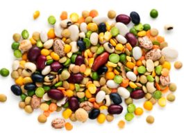 Pulses-protein