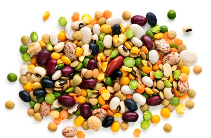 Pulses-protein