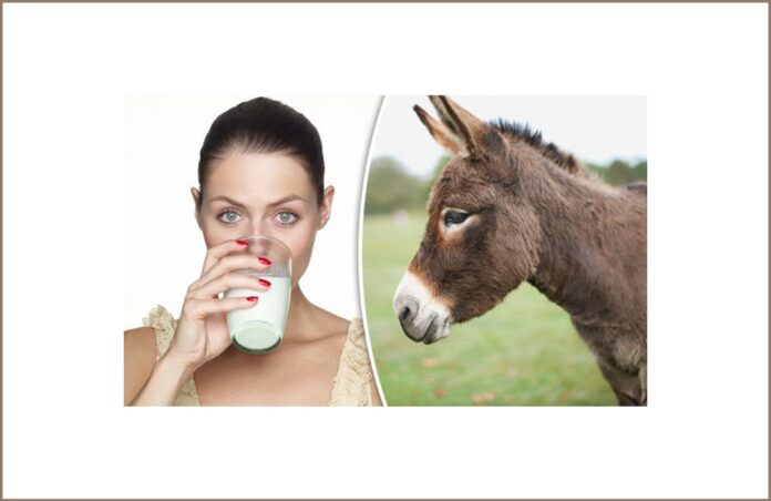 donkey-milk