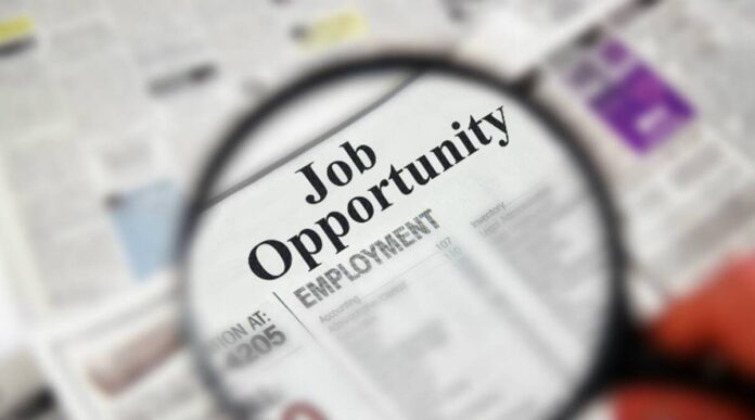rajasthan-rvunl-junior-assistant-and-other-various-posts-recruitment