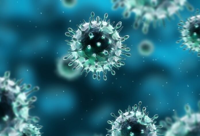 H1N1-swine-flu-virus