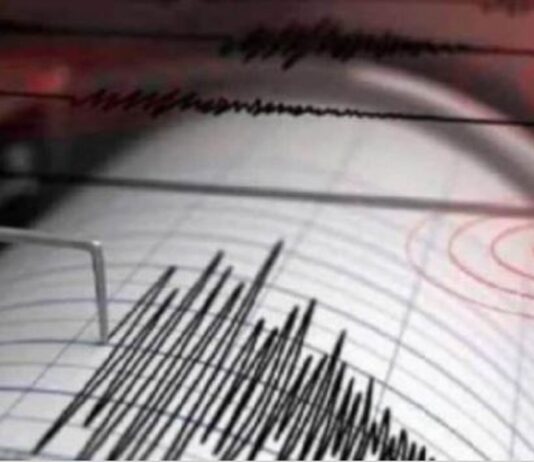 पाकिस्तान में सड़के फटी, इमारतें धसी, तेज भूकंप के झटके के कारण 20 की मौत।
